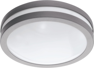 Smart LED Wandleuchte, IP44, dimmbar, silber, 26 cm