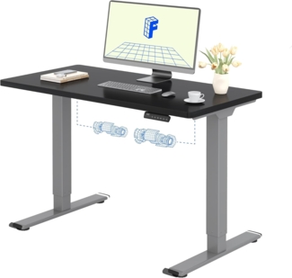 Flexispot E1 Elektrisch Höhenverstellbarer Schreibtisch mit Tischplatte 2-Fach-Teleskop, mit Memory-Steuerung (120x80 cm, Grau+Schwarz)