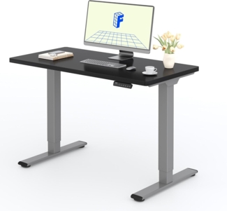 Flexispot E1 Elektrisch Höhenverstellbarer Schreibtisch mit Tischplatte 2-Fach-Teleskop, mit Memory-Steuerung (120x80 cm, Grau+Schwarz)
