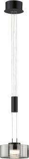 Fischer & Honsel 61094 LED Pendelleuchte Lavin 1-flammig sandschwarz Rauchglas