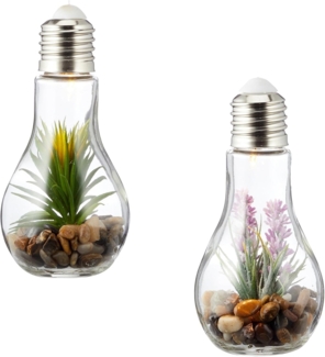 Levandeo® LED Dekoobjekt, 2er Set Sukkulenten Glühbirne Glas je B x H 8x19 cm Deko LED Lampe