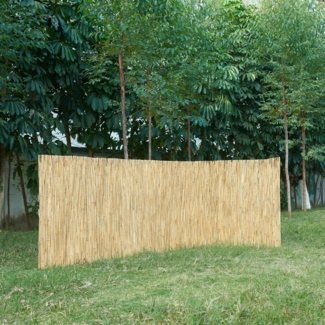 Schilfzaun Abbateggio 90x600 cm [casa. pro]