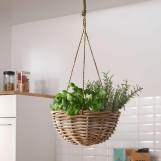 Pflanzampel Koboo Grey Blumenkasten Schale Pflanzkorb Pflanzschale Blumentopf