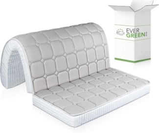 EVERGREENWEB Matratze auf eineinhalb Plätzen für Schlafsofa, 10 cm hoch, Faltbare Matratze mit gemütlichem Sitz, orthopädische Matratze aus Polyurethan, hypoallergene Beschichtung 120x190