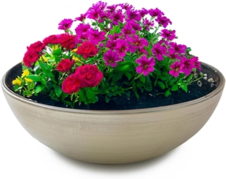 matches21 HOME & HOBBY Blumentopf Pflanzschale für draussen Dekoschale rund champagner beige 20 cm (1 St), Blumen-Schale als wetterfeste Friedhof-Schale Grab-Schmuck Grabschale