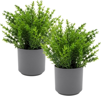 Kunstpflanze Grünpflanzen Arragement 22 cm im grauen Topf künstliches Ziergras, Spetebo, Höhe 22 cm, 2er Set - Künstliche Grünpflanzen mit Blumentopf