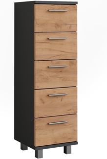 Midischrank Ilias Anthrazit/Goldkraft Eiche 30.2 x 95 cm Vicco