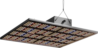 Caluma LED Grow Lampe Force 240 W, 48 x 48 x 7 cm, 2,7 µmol/J, 600 µmol/s