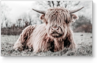 DEQORI Schneidebrett 'Ruhendes Hochland', Glas, Platte Frühstücksbrett Schneideplatte