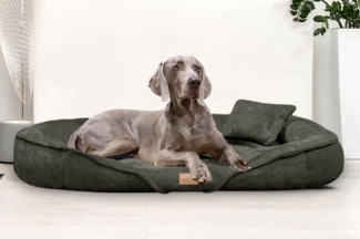 XENIA TEDDY | Kuscheliges Orthopädisch Hundebett - 26 Olivgrün, 145x105cm