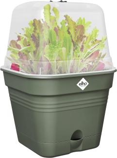 elho Green Basics Anzuchttopf Quadrat Allin1 15 - Blumentopf für Züchten - 100% recyceltem Plastik - Ø 15. 0 x H 12. 1 cm - Grün/Laubgrün