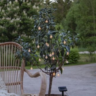 Solar-Lichterkette ,Globini', transparent, 20 Leuchtkugeln, Dämmerungssensor, warmweiß, L 475cm