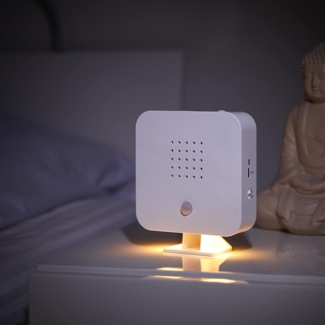 Northpoint LED Dekolicht Naturgeräuschebox Vogelzwitscher Bewegungsmelder Licht Aufladbar