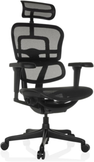 hjh OFFICE Bürostuhl ergonomisch ERGOHUMAN Signature GEN2 Originales Design, Bürosessel mit Flexibler Lendenwirbelstütze, Netzbespannung, Schwarz