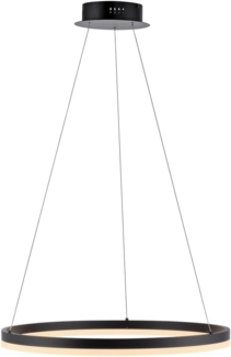 Paul Neuhaus 2382-13 TITUS Pendelleuchte 60 anthrazit
