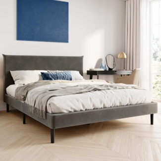 Home Collective Polsterbett 140x200 und 160x200 cm mit Lattenrost und weichem Bezug, Bettgestell (Doppelbett mit gepolstertem Kopfteil, robustes Gestell, hoher Liegekomfort), 160x200 cm, Grau, Samtbezug