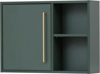 SCHILDMEYER Oberschrank Hängeschrank Wandschrank Schrank Kent Waldgrün B66,8 cm