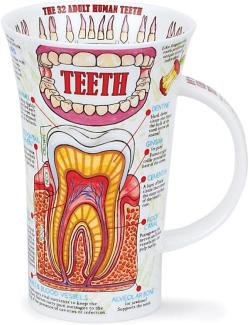 Becher Glencoe "Teeth"