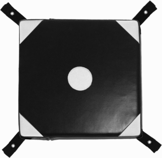 BAY-Sports Pratze Wall Catcher Wand-Schlagpolster Schlagkissen Wandmontage, 34 x 34 cm mit Ösen zur Wandbefestigung
