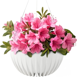 KONZEPT Blumenampel hängend Blumentopf 30cm Durchmesser, Hängetopf für Pflanzen, aus Kunststoff