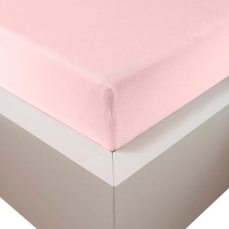 Traumschloss Premium Plus Edel-Jersey Spannbettlaken puder (rosé) 180-200x200-220