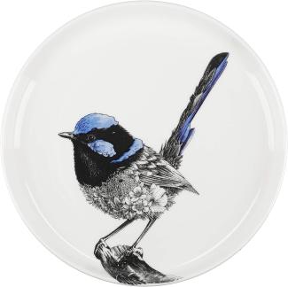 Maxwell & Williams Marini Ferlazzo Teller Fairy Wren, Speiseteller, in Geschenkbox, Premium-Keramik, Mehrfarbig, 20 cm, DX0587