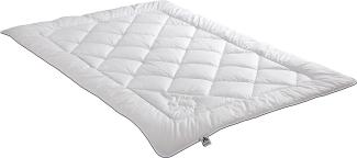 Badenia Bettcomfort Irisette Steppbett warm aus Kamelhaar für den Winter, 155x220 cm