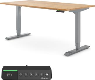 Desktopia Pro X - Elektrisch höhenverstellbarer Schreibtisch / Ergonomischer Tisch mit Memory-Funktion, Eiche Echtholz Gestell Grau, 160x80 cm,