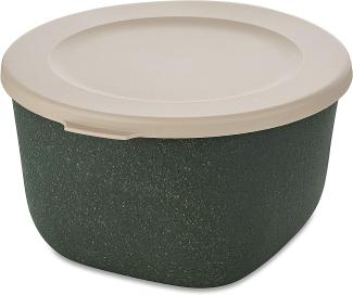 Koziol Dose Connect Box mit Deckel, Schüssel, Schale, Kunststoff-Holz-Mix, Nature Ash Grey, 1 L, 7870701