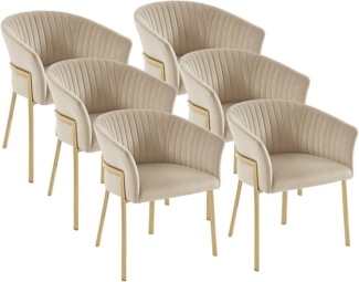 Vente-unique - Stuhl mit Armlehnen 6er-Set - Samt & Goldfarbenes Metall - Beige - ZAOVA von Pascal MORABITO