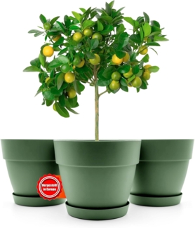 BigDean 3 Stück Blumentopf mit Untersetzer rund ø47 cm in Olivgrün – Übertopf innen + außen geeignet – aus bruchsicherem Kunststoff & Made in Europe