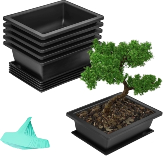 Belle Vous Blumentopf Bonsai Set - 6 STK Trainingspflanzen