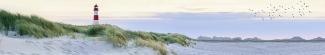 Maximex Balkon-Sichtschutz NORDSEEKÜSTE, Glasfaserverstärkte Balkonsichtschutzfolie, UV- und witterungsbeständig, Zuschneidbar, 5 m x 85 cm