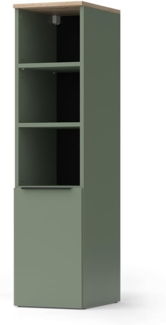 Universalschrank Wido Grün 30.2 x 120 cm mit einer Tür Vicco