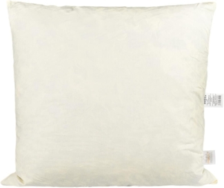 Federkissen ca. 60x60 cm waschbar Bezug Baumwolle beties „Publik“