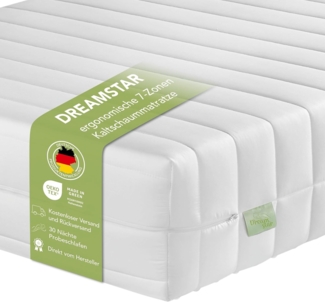 DREAMSTAR Easy Flex | ergonische 7-Zonen Kaltschaummatratze | Öko-Tex Zertifiziert | Härtegrad 2 und 3 (H2 & H3) | Rollmatratze 21 cm | Made in EU I 120x200 cm