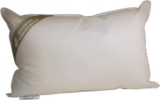 Hofmann Franken Kissen Kopfkissen Federkissen 43x63 cm 15% Daunen 400g waschbar