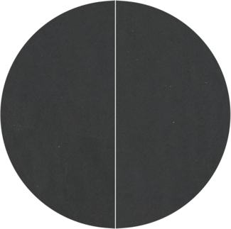 vidaXL Runde Poolabdeckung Schwarz Polyethylen Ø 244 cm Wasserdicht 42009112