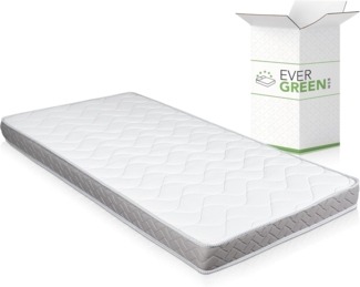 EVERGREENWEB Einzelmatratze für Schlafsofa, 12 cm hoch, orthopädische Wasserschaummatratze, hypoallergene und ergonimische Matratze mit weißem Bezug 80X190 – DAYBED
