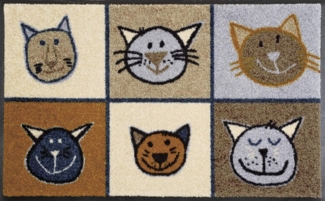 Miau Miau