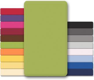 CelinaTex Jersey Topper Spannbettlaken Lucina Doppelpack 90x200-100x200cm grün 100% Baumwolle gekämmt bis 12cm Matratzenhöhe Oeko-TEX