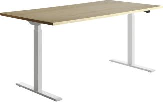 TOPSTAR | Schreibtisch | elektrisch höhenverstellbar | BxT 1600 x 800 mm | Platte Ahorn-Dekor | Gestell weiß