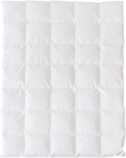 BettwarenShop Bettdecke Hotel medium, Füllung: 90% Federn, 10% Daunen|155x200 cm