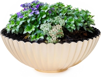 matches21 HOME & HOBBY Blumentopf Runde Pflanz-Schale gewellt für draussen champagner gold 16 cm (1 St), Wetterfeste Blumen-Schale als moderne Outdoor Gartendeko Grabschmuck
