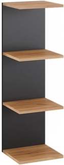 Vicco Bücherregal Paolo, Anthrazit/Goldkraft Eiche, 30 x 95 cm