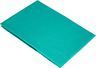Bassetti KISSENHÜLLE zu BW UNI ALOE 40x80 *9301169