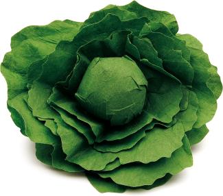 Erzi 12280 Salatkopf, Kaufladenartikel