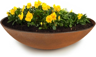 matches21 HOME & HOBBY Blumentopf Flache Pflanzschale für draussen Dekoschale rund Rost-Optik 28 cm (1 St), Blumen-Schale als wetterfeste Friedhof-Schale Grab-Schmuck Grabschale