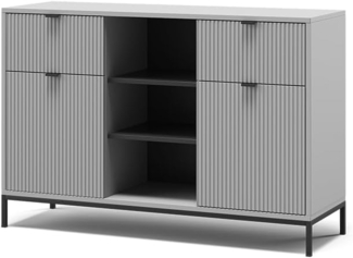 Vicco Kommode Grau 120 x 81.2 cm mit 2 Schubladen und 2 Türen, Eliza