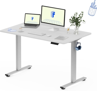 Flexispot EG1 Höhenverstellbarer Schreibtisch Elektrisch 2-Fach-Teleskop mit Tischplatte (CC-Bambus,weiß Gestell, 120x60 cm)